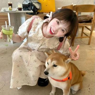 掌门女婿